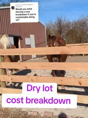 Replying to @thewalkingidjit here you go! #horse #horsebarn #homesteading #farm 