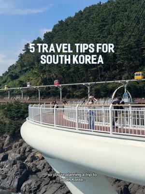 5 travel tips for South Korea ✈️🇰🇷 #koreatravelguide #firsttimeinkorea #exploreseoul #seoulitinerary #seoultrip #koreatravel #seoultraveltips #climatecard #portablewifi #navermap #helpfultips #koreashopping @Klook Travel @Creatrip 🇰🇷 Travel Tips ✨ 