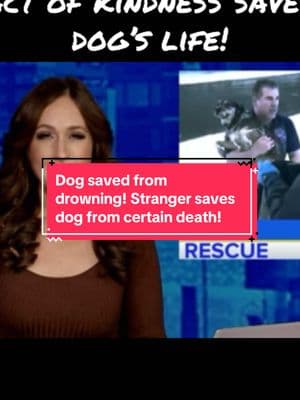 Dog saved by random act of kindness from stranger. The icy river water would have killed the dog. #dogsaved #dogrescue #dogsoftiktok #dogsavedfromdrowning #randomactsofkindness 