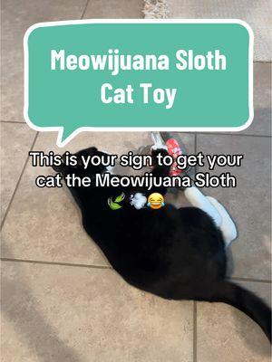 She’s obsessed 😂👏🏻 #cattoy #cattoys #catnip #catniptoy #meowijuana #catsoftiktok #cattok #cattiktok #TikTokShop #tiktokshopmademebuyit 