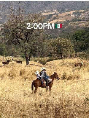 #Ameca_Jalisco_Mexico #AmecaJalisco #JaliscoMexico #Jayamitla #JayamitlaJalisco #Jalisco #Mexico #Rancho #JaliscoCheck #Abuelo #Vacas #Caballo #BeefMaster 