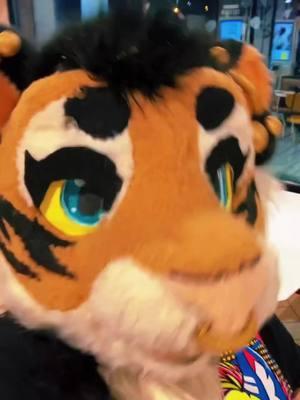 Cat in da mcdonalds 🍔 🍟 #fursuit #fursuiter #fursuiting #furrysafeplace #furrysafespace #ohiofurry #emofurry #scenecorefurry #furrymemes #furrymemesuwu #tigerfursuit #tigerfurry #tigerfursuiter #fursuitersoftiktok #furrytok #ohiofurries #ohiofurs 