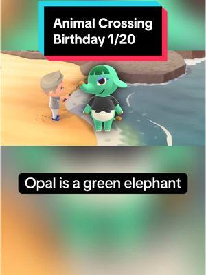 In Animal Crossing on January 20th, it’s Opal and Quinn’s birthday! Happy birthday Opal and Quinn! #animalcrossing #animalcrossingnewhorizons #animalcrossingswitch #switch #nintendo #nintendoswitch #switch2 #animalcrossingbirthday #January20th #January20 #Opal #Quinn #animalcrossingOpal #animalcrossingQuinn #Opalanimalcrossing #Quinnanimalcrossing #acOpal #acQuinn #Opalac #Quinnac #funfacts #DidYouKnow #animalfunfacts #elephant #elephants #eagle #eagles #cute #cuteanimals #gaming #GamingOnTikTok #gamingonyoutube #birthday #happybirthday #cozygames #cozygaming #cozygamer