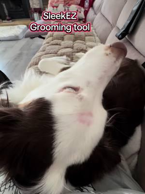 #groomingtool #dogsoftik #TikTokShop 