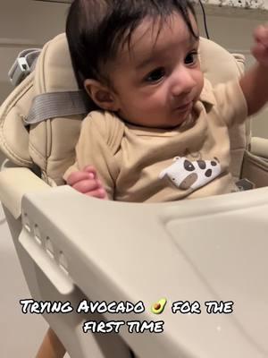 Trying Avocado for the first time. Didn’t go as planned 🤣🤣 #babytok #newborn #babyfever #milstone #solidfood 