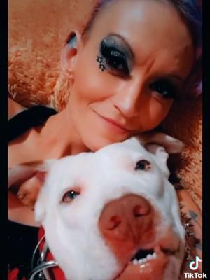 Found this video of Chicka my Pitt she's my fur baby #furbabies #furbabiesoftiktok #ilovemypet #ilovemypitbull #pittiesoftiktok #pittbull #pittbullove #dogsoftiktok #dogs #ilovemyfamily 