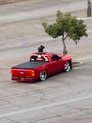 no kema cuh💨 #lamamawhiski #mamawhiski #chevy #silverado #singlecab #dropped #droppedtrucks #loweredtrucks #suelomob #suelo #butterflydoors #lambodoors #noquemacuh #tacuache #trokiando #mamalona #troka #fyp #foryoupage #lowtrucks #trokasbajitas #trokastumbadas  