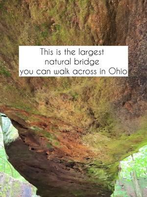 Ohio’s is home to many natural bridges but the largest one that you can cross is the at Rockbridge State Nature Preserve. 🥾 The natural bridge or arch is 100 feet long and 10 to 20 feet wide, and gracefully arches 50 feet across a ravine 🌳 Tucked away in Rockbridge, Ohio (near Hocking Hills) the state preserve offers 2.75 miles of moderate hiking trails. ‼️The trail has lots of tree roots, elevation changes and can be muddy. Wear proper hiking shoes and bring water. 🦟Bug spray and sunscreen are a must!  🚗 There is a parking area but not any picnic tables, garbage cans or restrooms. If you bring a snack pack it out.  🌟The area by the bridge has steep cliffs, stay on the trail and keep a close eye on kids.  🪨 The trail to the Rockbridge branches off to go to the Rock Shelter. 🦋 The preserve has a butterfly garden along the trail. Since it was the dead of summer, there weren’t many butterflies out as the flowers were not in bloom.  📍11475 Dalton Rd, Rockbridge, OH 43149 Have you hiked to a natural bridge before? #ohiohiking #exploreohio #exploreoh #ohiohikes #naturalbridge #rockbridge #hockinghills #ohionature #ohiooutdoors #ohiogram #ohioexplored #ohiotheheartofitall #ohioadventures #naturalbridges #discoverohio #travelohio #ohioblogger #ohioexplorers #ohiofamily #ohiogetaway #hikingvibes #midwesthiking #mwtravel