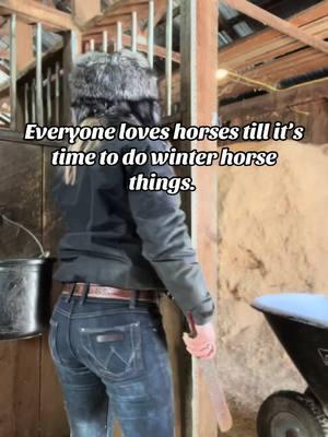 Owning horses and riding horses aren’t the same thing #itsamandalee #onlyfarmer #horsegirl #farmgirl #winterstruggles 