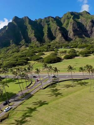 #oahu #hawaii #kualoaranch #dji #djidrone #montañas #aves #animals #animales 