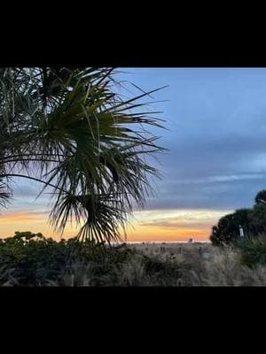 Today I am so thankful for many things! What are you thankful for? Sunsets 🌅 are so special and a reminder of Gods love & grace! Each one like God has taken a paint brush to the sky! #sunsets #beautiful #Love #siestakey #florida #beach #beachvibes #palmtrees #sand #jesus #Godsbeauty #christian #thankyouLord #2025 #trump #thankful #grateful #Love #praiseGod #christiantiktok #Godsplan #Jesusisking #toGodbetheglory 