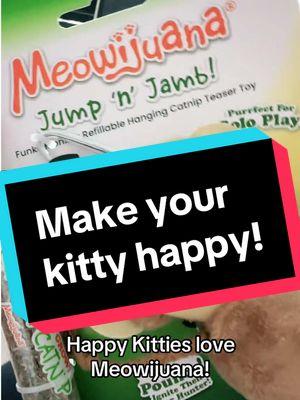 Happy kitty time! #meowijuanacatnip #catmusthave #lovemycat #catmom 