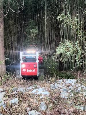 Breaking into the wilderness  • • #shmichael #golfcoursemaintenance 