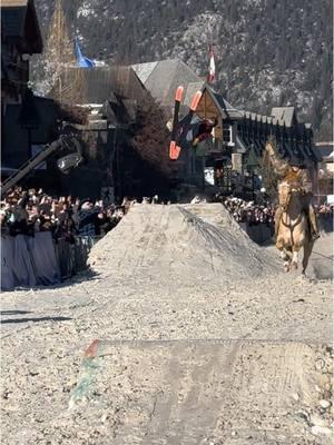 Horse drawn ski jumping, who’s about that life? #canada #skijor #banff 