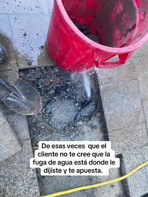 #plumber #plumbing #savewater #leak #leakdetection #ahorraagua #irrigation #detectordefugas #fugadeagua #fontanero 