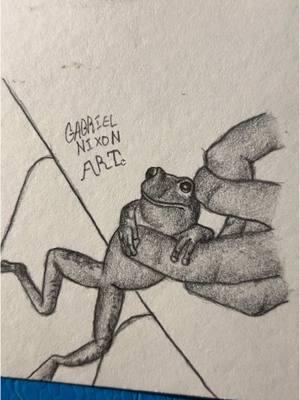 They aren’t holding the frog the frog is holding them👆        Credit- frog_is_everything/IG     #fyp #art #sketch #drawing #frog #evanescence #foryouuuuuuuuuuuuu 