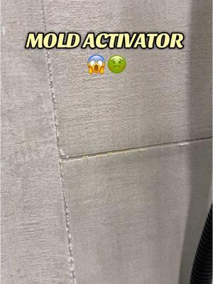 SHOCKED is genuinely an understatement on how I feel right now. I can’t believe I finally found some thing that not only remove the mold but made it SO EASY 😱 #TikTokShop #tiktokshopmademebuyit #tiktokshopgem #CleanTok #asmrcleaning #sundaycleaning #cleaning #moldremover #mold #moldcleaner #showercleaning #showercleaninghack #cleaninghack #cleanshower #cleanbathroom #asheleyspam #asheleybaca #fyp #foryou #foryoupage #fypシ #foryou #viral #viralvideo #viraltiktok 