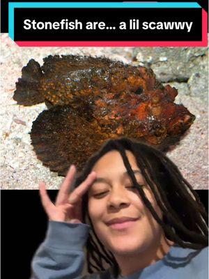 Well I guess we’re still here so here’s a fun video to distract us from today… Also happy MLK day! And nothing else :) #fish #stonefish #fyp #foryou #science #scicomm #greenscreen 