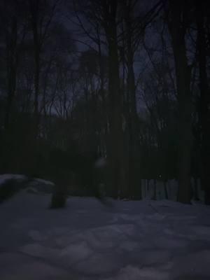 𝐅𝐞𝐞𝐥𝐢𝐧’ 𝐠𝐨𝐨𝐝! YALL TIKTOK IS BACKKK AHAHHH #quadrobics #quadrobist #snow #winter #forest #nature #notatherian #theriansupporter #antizoo #fyp #fypp #fypシ #fypシ゚viral #viral 