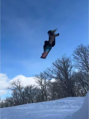 Carizzia😁 #ski #snowboard #jibbin #mountsnow #nitroeastsquad #vermont #carinthia #carinthiaparks #parkskiing @Nitro Snowboards @cghabitats @Ace 🎥:@James DiDomizio 