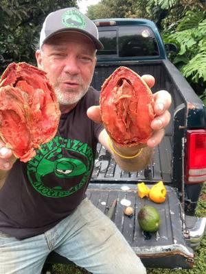 Mamey is nature's pie filling #farmlife #mamey #mameysapote #sapote