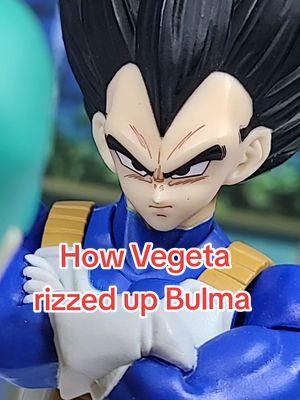 How Vegeta rizzed up Bulma  #dragonball #dragonballz #dragonballsuper #db #dbz #dbs #dbzshfiguarts #shfiguarts #bandai #toeii #tamashiinations #pbandai #premiumbandai #collection #collector #anime #toys #toyphotography #anime #goku #vegeta #myshfdragonball #toyark #premiumbandaiusa #dragonball_nations #fyp #trending #bulma #rizz