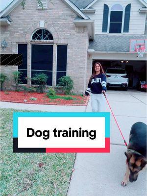 Take control and try the Jugbow collar! #jugbow #jugbowecollar #DogTraining #dogtrainingtips #dogwalking #dogwalkinghack #dogwalkinglife #dogwalkingessentials #dogtrainingtricks #dogcollar @Jugbow US 