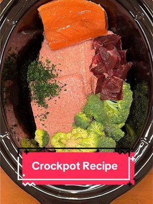 Healthy Crockpot Dog Food Recipe 🥘🐶 #dog #dogtips #kibble #crockpot #dogfood #dogtreats #doghacks #dogfeedingroutine #dogmom #homemadedogfood #dogs #fyp #dogfoodrecipes #healthydog #rawfeddog