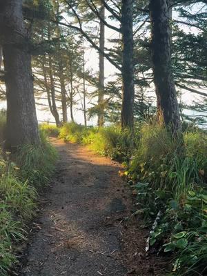 2025- what do you have in store for us? #pnw #Hiking #nature #forest #oregoncoast #southernoregoncoast #archrock #samuelhboardman 