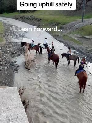 Trail Ride Tips - little hills #horses #horsebackriding #arabianhorses #learntoride #kudsandhorses #traileides 