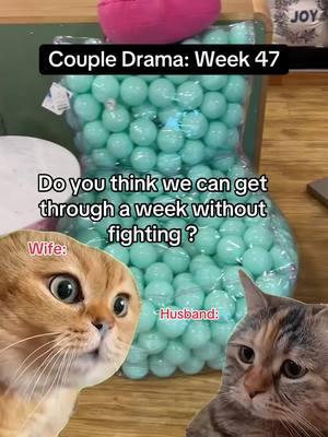 #creatorsearchinsights #foryou #fyp #fypシ #funny #pets #cat #dogs #couple #couples #Relationship #CoupleDrama #RelationshipGoals #CoupleVsCouple #MeAndMyPartner #WeeklyShowdown #UsVsUs #CoupleLife #RelationshipStruggles #CoupleChallenges #FightingInRelationships #NoPeaceInSight #TryingToSurvive #MeAndMySO #CoupleGoalsEveryday #RelationshipTest #CoupleProblems #NotGoingToMakeIt #CoupleTensions #TryingNotToFight #RelationshipChaos #CanWeLastAWeek #NoDramaPlease #CoupleStruggles #NotPossible #MeAndYou #JustAnotherWeek #RelationshipFails #WeeklyChallenge #MissionImpossible #CoupleStrugglesDaily #PeaceIsRare #CoupleDynamics #WeeklyArgument #TryingToAvoidDrama #CoupleLifeStruggles #TestingPatience #CoupleChallengeAccepted #SurvivingTogether #NoFightingChallenge #WeeklyConflict #MeAndMyPartnerChallenge #RelationshipReality #NotThisTime #CoupleFights #WeeklyGoals #FightingForPeace #CoupleCommunication #RelationshipDramas #MarriageOrDating #UsVsUsAgain #FightingIsOurSport #DramaInRelationships #TryingToAvoidConflict #RelationshipHumor #CoupleGoalsOrNot #EveryWeekIsTheSame #FightClubCouples #LoveAndFights #NotGoingToHappen #PeacefulDreams #TooMuchDrama #CoupleTested #DramaInLove #TheTestOfLove #NotSilentYet #PeacefulWeekNotPossible #CoupleVsChaos #SurvivalMode #FightingForSilence #CoupleVsWorld #TestOfPatience #CoupleGoalsOrBust #LoveAndChaos #WeeklyStruggles #MarriageStruggles #RelationshipDramaDaily #PartnerVsPartner #CoupleDramaAlert #PeaceIsOverrated #TooManyFights #FightOrFlight #RelationshipGoalsFail #CoupleConflict #WeeklyBattles #FightingForQuiet #SurvivingLove #CoupleVsCoupleChaos #TestingTheLimits #EmotionalRollercoaster #PartnerInCrime #RelationshipTension #OneWeekChallenge #FightingForSurvival #CoupleVsSilence #DramaFilledLife #LoveAndArguments #CoupleFightChallenge #CoupleBickering #MarriageOrChaos #RelationshipStrugglesDaily #FightToTheFinish #TestOfLove #CommunicationBreakdown #CanWeTryAgain #WeeklyFightingSession #TooMuchLoveDrama #FightingForBalance #DailyRelationshipDrama #CoupleConflictResolution #BreakingUpIsHarder #FightingEveryDay #CoupleDisagreements #WeFightButWeLove #RelationshipOrWar #WeTryButFail #EndlessArguments #LoveMeHateMe #LoveOrWar #PartnersInChaos #YouStartTheFight #WeeklyTestOfLove #CoupleDramaQueen #TryingForPeace #FightingIsOurLoveLanguage #WifeVsHusband #SilenceIsGoldenButRare #WeLoveToFight #DramaQueenMode #PeaceIsElusive #OneWeekWithoutChaos #CoupleLifeDrama #RelationshipOrRuin #FightingToBeRight #CoupleLifeUnfiltered #ArgueAndMakeUp #PeaceIsNotHere #CoupleOfTheYearNot #FightingForPeaceDaily #WeFightButWeSurvive #PartnerVsPartnerDrama #YouStartTheFights #CanWeJustTalk #TryingToFixIt #WeeklyRelationshipTest #LoveAndTension #FightingIsExhausting #CoupleIssuesEveryday #LoveAndDrama #RelationshipMinds #CoupleDilemma #FightingFrenzy #ChaosInLove #FightForLove #RelationshipWars #TryingNotToFight #CoupleLoveBattle #WeFightWeLove #FightingInLove #NoPeaceNoLove #RelationshipProblemsEveryday #MeVsYou #LoveIsComplicated #CoupleBreakdown #DramaKingsAndQueens #WeeklyChallengeAccepted #LoveOrConflict #TestOurLove #FightingOrLoving #RelationshipCycle #BickeringCouple #OneWeekWithoutDrama #LoveStruggles #CoupleVsCoupleFight #NoDramaAllowed #SurviveLove #FightOrForgive #CoupleDisputes #WeeklyLoveChallenge #FightingForLove #MeAndMyLove #RelationshipTested #SurvivingLoveChallenges #FightingForTime #CoupleBattles #WeeklyStrugglesTogether #PeaceIsOverratedInLove #MeAndMyDrama #CoupleVsChaosChallenge #TestingRelationshipLimits #CoupleFightClub #EmotionalBaggage #FightingForLoveAndPeace #CoupleWarzone #NotSoPeaceful #LoveDramaStruggles #CoupleGoalsOrNot #FightingEveryWeek #LoveTested #ArgumentsAndLove #DailyCoupleStruggles #FightingThroughTheWeek #StrugglingInLove #FightingForBalanceDaily #CoupleLifeUnpredictable #TestingLoveLimits #WeeklyLoveWars #FightingAndFallingInLove #LoveDisagreements #FightingInTheNameOfLove #ChaosAndLove #LoveVsWar #CoupleMisunderstanding #LoveTestChallenge #TryingToSurviveTogether #CanWeMakeI