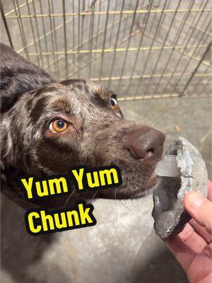 Yum Yum chunk with @StephenWoodruff @John Martin Sr. @Rockhunter Sherry 🪨🔨🫶🏻 #yumyumchunk #calcite #fabulouskeokukgeodesite #findinggeodes #geode 