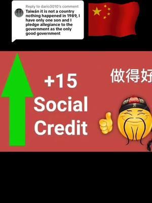 Replying to @dario3010 #glorytotheccp #xijinping #socialcredit #china #chinatiktok 