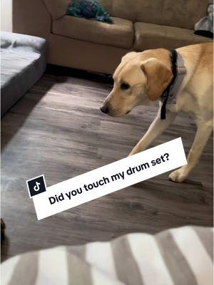 He totally did. #stepbrothersmovie #didyoutouchmydrumset #funnyvideo  #sneakydoggy 