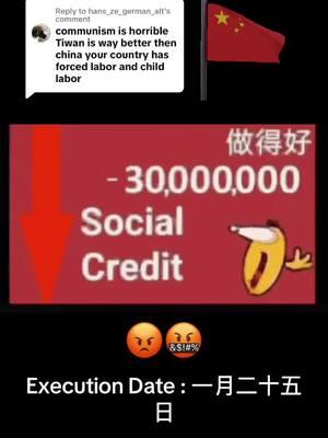 Replying to @hans_ze_german_alt #glorytotheccp #socialcredit #xijinping #fyp #china #chinatiktok 