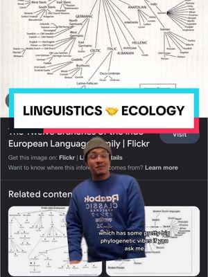 linguistic ecology #language #linguistics #english #lingtok #biology #ecology #onthisday 