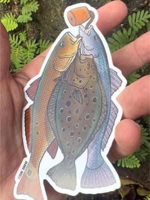 Yall asked for stickers so I made some stickers! 5” decals are ready to purchase! Link in bio. #fyp #fypシ #decals #decal #stickers #stickershop #fishing #fishtok #fishingtok #redfish #bullred #trout #flounder #wahok #floridalife #tuna #florida 