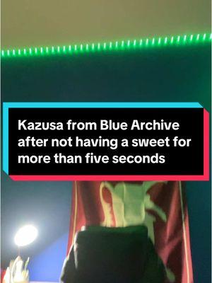 #bluearchive #bluearchiveglobal #kazusabluearchive #shirokobluearchive 