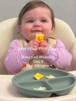 new breakfast food unlocked😉 #babyledweaning #babyledweaningideas #babyledfeeding #babyledweaningrecipe #babyledweaning6months #babyfood #babyfoodrecipes #babyfoodideas #babyfoodie #7monthsold #7months #funnybaby #funnybabyvideos #funnybabies #baby #babygirl #babytok #babyfever #babytiktok #babylove #mom #MomsofTikTok #momlife #momtok #momhack #relatablemom #relatablemomcontent #momcontent #momcontentcreator 