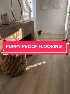 Zoomie-proof flooring! 🐾💨 With BestLaminate flooring, your pup can run, jump, and play without a worry. Scratch-resistant, water-resistant, and built to last—it's the perfect flooring for your furry friend! 🐶✨  Featured Flooring: Bestlaminate Livanti Woodridge Northern Oak Vinyl  #BestLaminate #VinylFlooring  #FlooringTips #HomeRenovation #FlooringExpert #FlooringExperts #DIYHomeImprovement