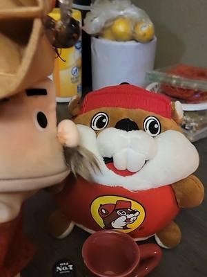 #stitch with @inmate.ash  Moonshine got Bucee's back  🤠 🤣🤣 #flohernandezcomedy #shinernation #Moonshine #puppetcomedy #reaction #Bucees #ITellJokes #ShortKingTypeShyt 