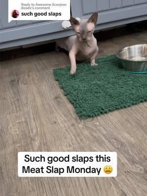 Replying to @Awesome Scorpion Beads happiest of Meat Slap Mondays on this holy day of TikTok resurrection 🙏🏼🍖🤚🏼📅 what meat have u slapped today?! #msm #meatslapmonday #claude #sphynx #meatslap #hairlesscat #carpetcat #carpetdrag #car #hairlesscar #sphynxcat 