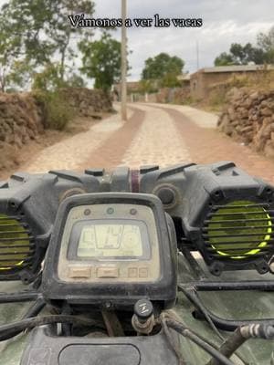 Lo bueno que mas buenas que malas 🇲🇽🤠🐮 #vamonosalrancho #rancho #vacas #ganado #becerros #fyp #parati #tio #jalisco #atv #cuatrimoto #4x4 #cows #livestock #mexico 