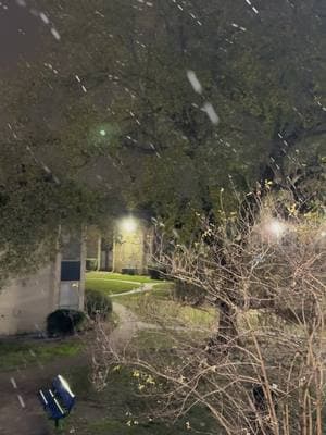 Empezó a nevar ❄️🌨️ #houston #nieve #clima #snow #frio 