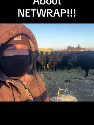 #mountainhcattle #winter #easyday #feed #rancher #cattle #corral #netwrap #goats #water #loader #bales #extremetemps #colorado 