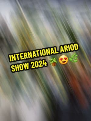 The International Ariod Show 2024. I can't wait until the next one I'm so excited 🪴😍😁 #IAS #plants #PlantTok #houseplants #plantsoftiktok #plantlover #plantaddict #plantlady #planttherapy #plantmom #plantenthusiast #contentcreator #greengardenbunches #thezubigarden #mamaafrica #coconutoilandlocs #trending #fyp 