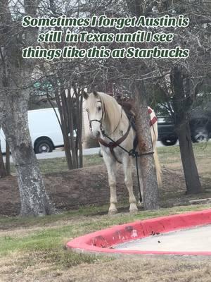 The rider came walking out starbs in hand about :30 later. I so wish he went through the drive through instead. 🐴 ☕️  #SellingSunsets #SoldOnDrip #DrippingSprings #DSTX #SiliconHills #HillCountry #TexasHillCountry #HillCountryLiving #WeddingCapitalofTexas #DrippingSpringsRealtor 