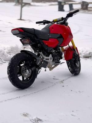 Snow ride or nah 🧐😂 #honda #hondagrom #grom #gromtok #2025 #motorcycle #2wheels #StreetStyle #fyp #fypシ #fypシ゚viral #minimoto #tstindustries #125cc #snow #snowing #snowday 