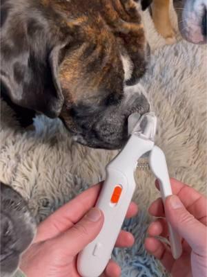 Trim your pet nails with confidence #dognailclipping #dogs #cats #nailtriming #doglove 