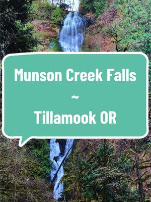 #munsoncreekfalls #munsoncreek #waterfall #tillamook #oregon #pnw #pacificnorthwest #hike #walk #2025 